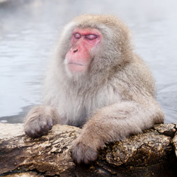 Similar image 21342378