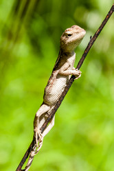 Similar image 21342384