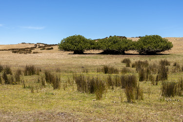 Similar image 21342386