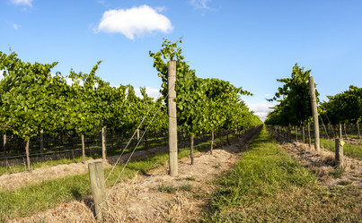 Similar image 21342388