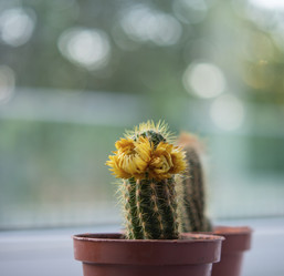 Similar image 21342944