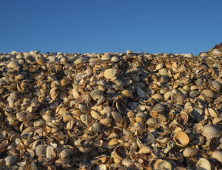 Similar image 21342945