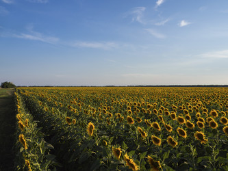 Similar image 21342946