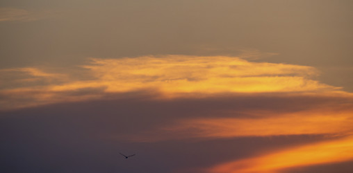 Similar image 21342948