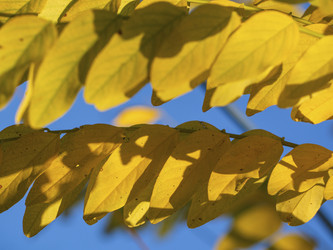 Similar image 21342951