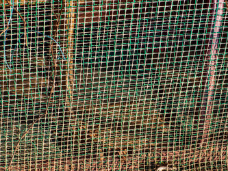 Similar image 21342953