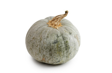 Similar image 21343213