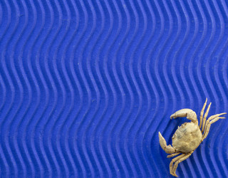 Similar image 21342955