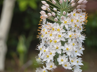 Similar image 21342957