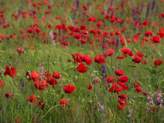 Similar image 21342958