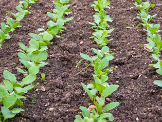 Similar image 21343087