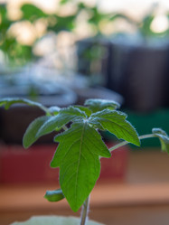 Similar image 21343088