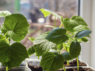 Similar image 21343089