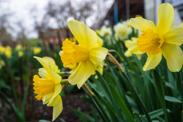 Similar image 21343090