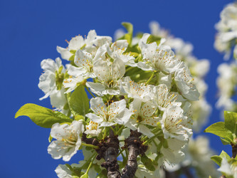 Similar image 21343092