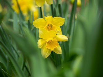 Similar image 21343099