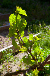 Similar image 21367281