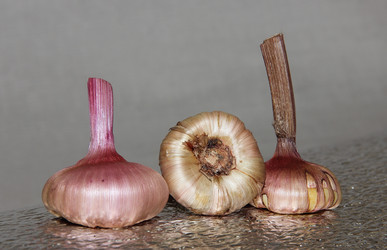 Similar image 21351889