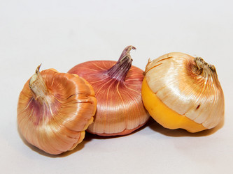 Similar image 21355308