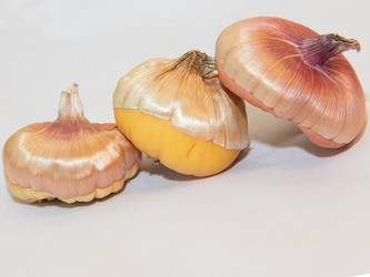 Similar image 21355309