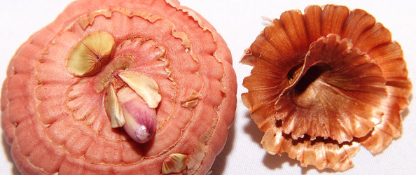 Similar image 21355312