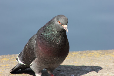 Similar image 21354203