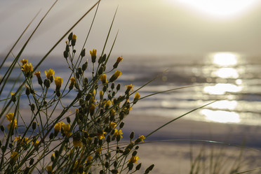 Similar image 21343736