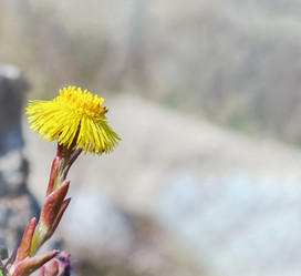 Similar image 21343737