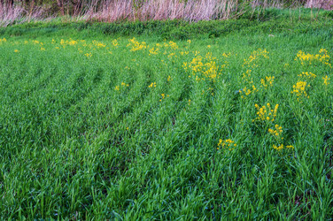 Similar image 21343739