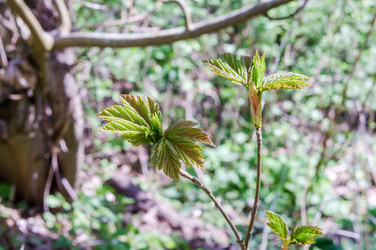 Similar image 21343741