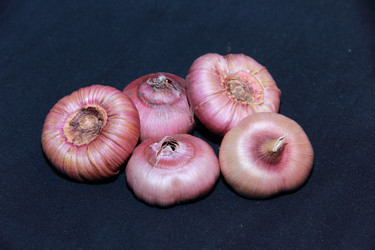 Similar image 21351890