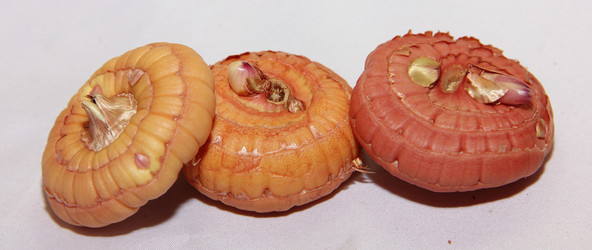 Similar image 21355313