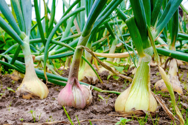 Similar image 21368884