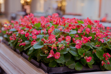 Similar image 21367285