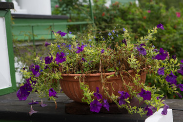 Similar image 21367287