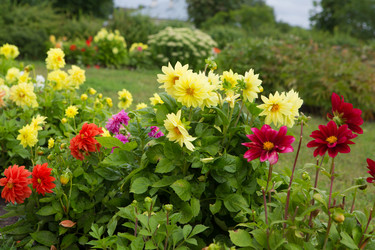 Similar image 21367288