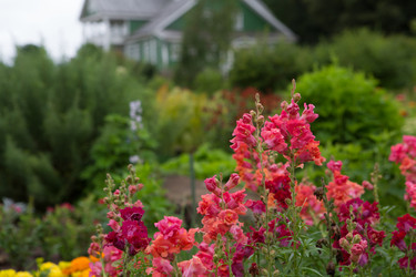 Similar image 21367290