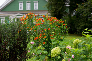 Similar image 21367291