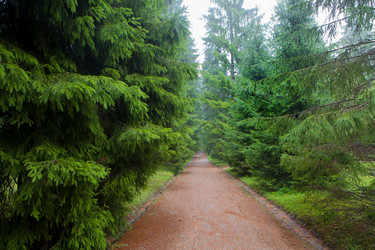 Similar image 21367294