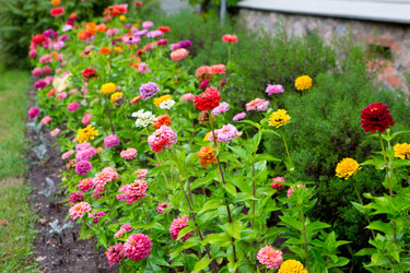 Similar image 21367295