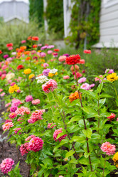 Similar image 21367296