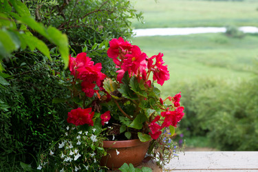 Similar image 21367297