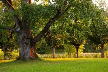 Similar image 21367300