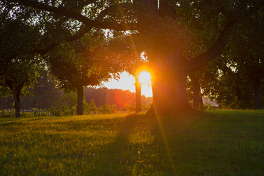 Similar image 21367301