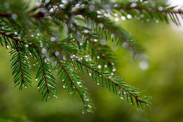 Similar image 21367305