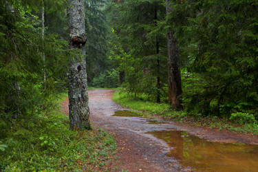 Similar image 21367306