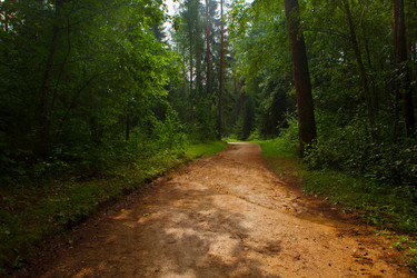 Similar image 21367307