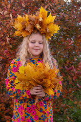 Similar image 21370323