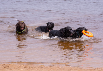 Similar image 21349112