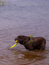 Similar image 21349114